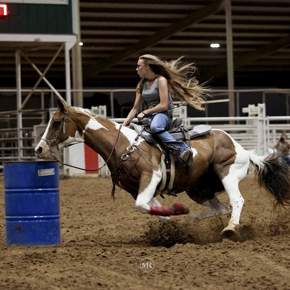 HorseLinkTech therapy boots - Brooke's horse
