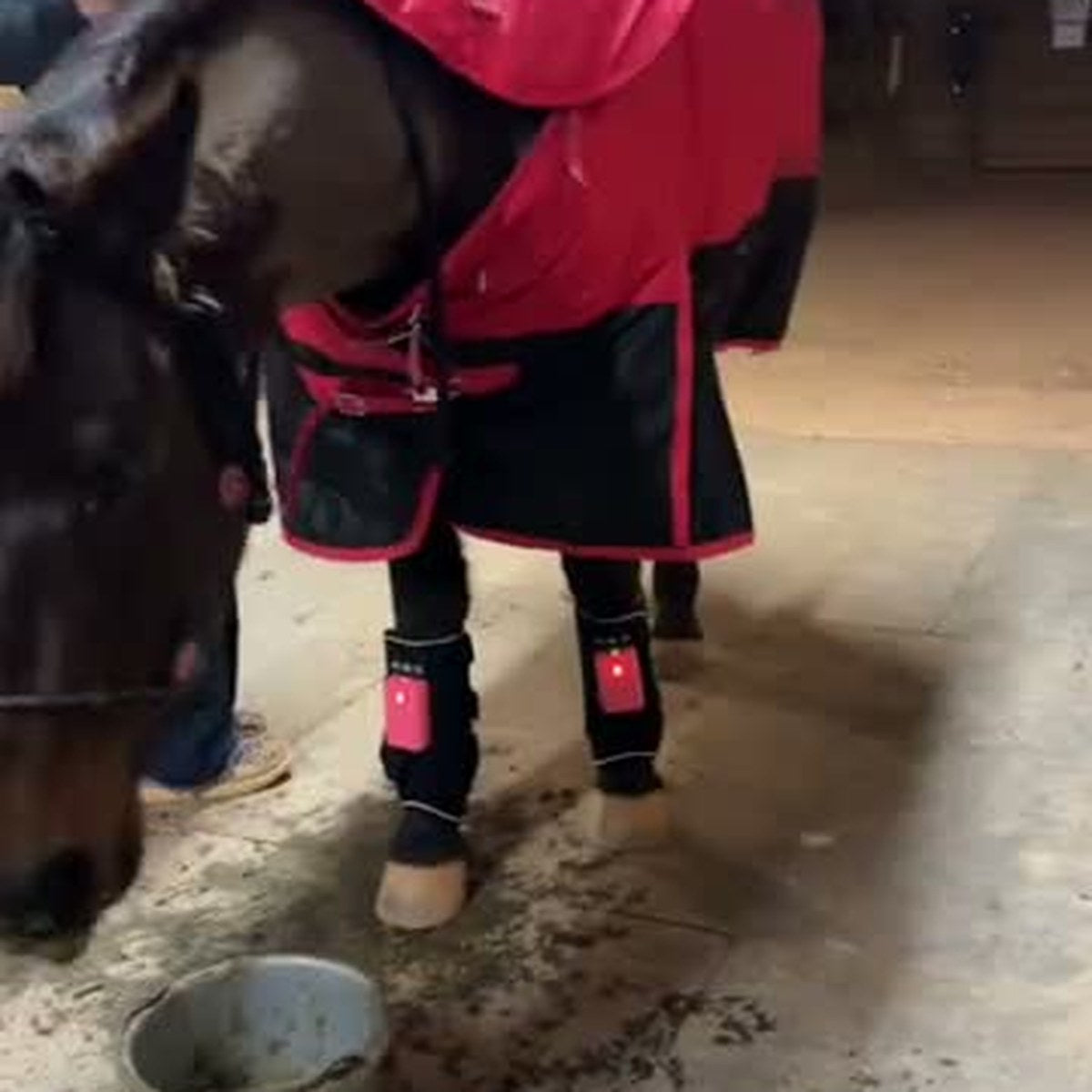HorseLinkTech therapy boots - Candace | Her Heritage's horse