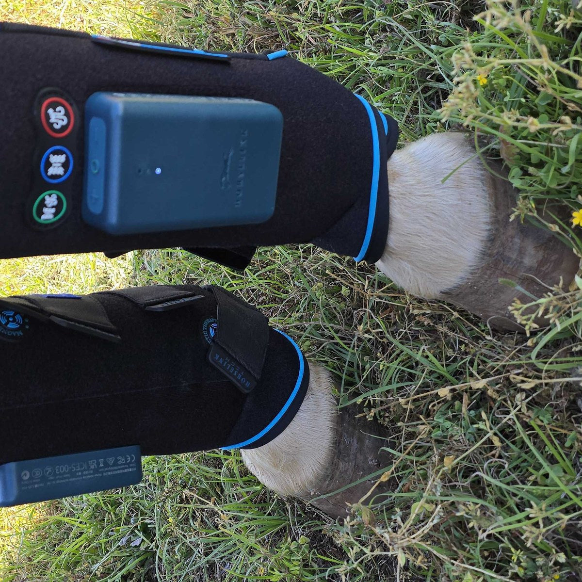 HorseLinkTech therapy boots - Cowgirl Grit & Glam's horse