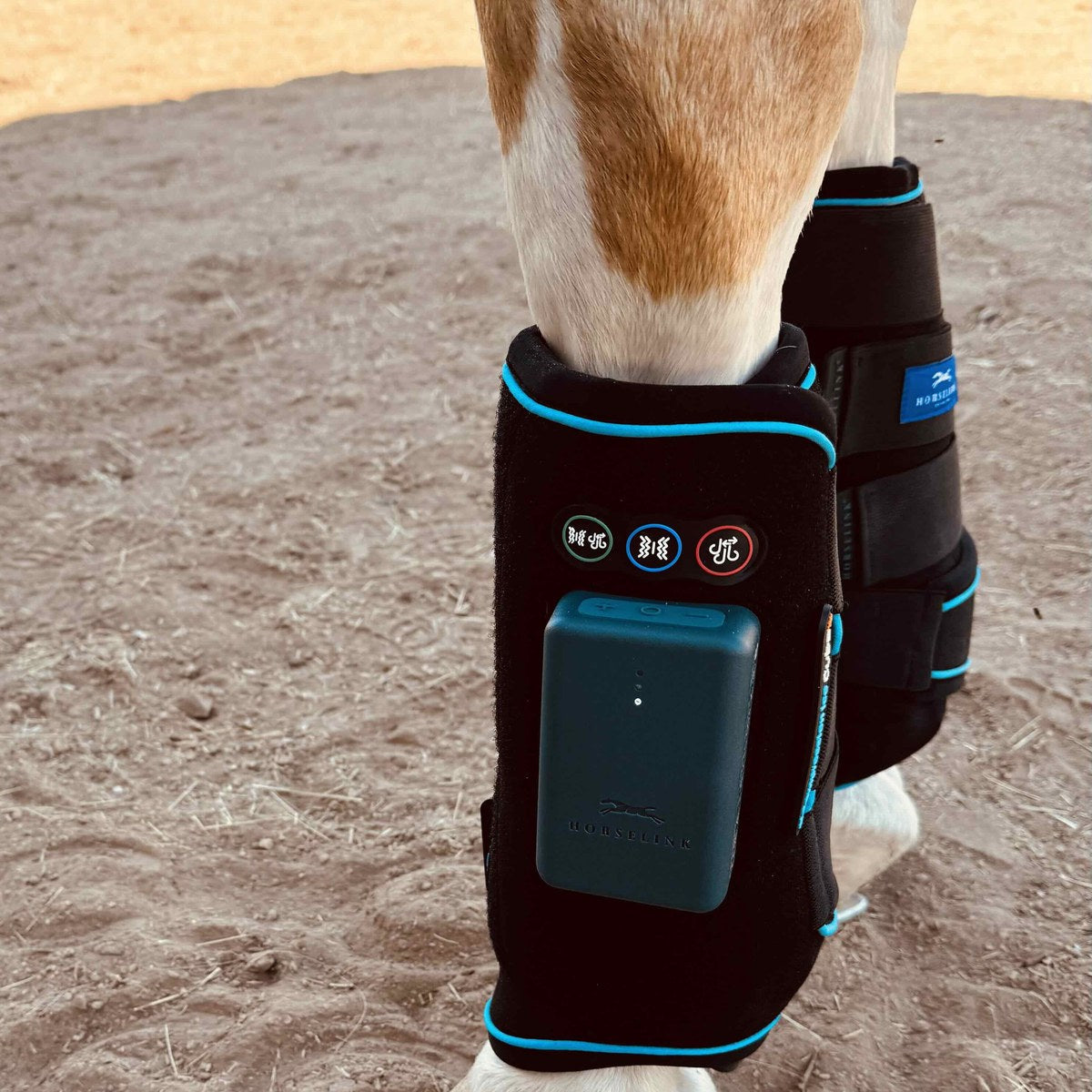 HorseLinkTech therapy boots - Debbie Anderson's horse