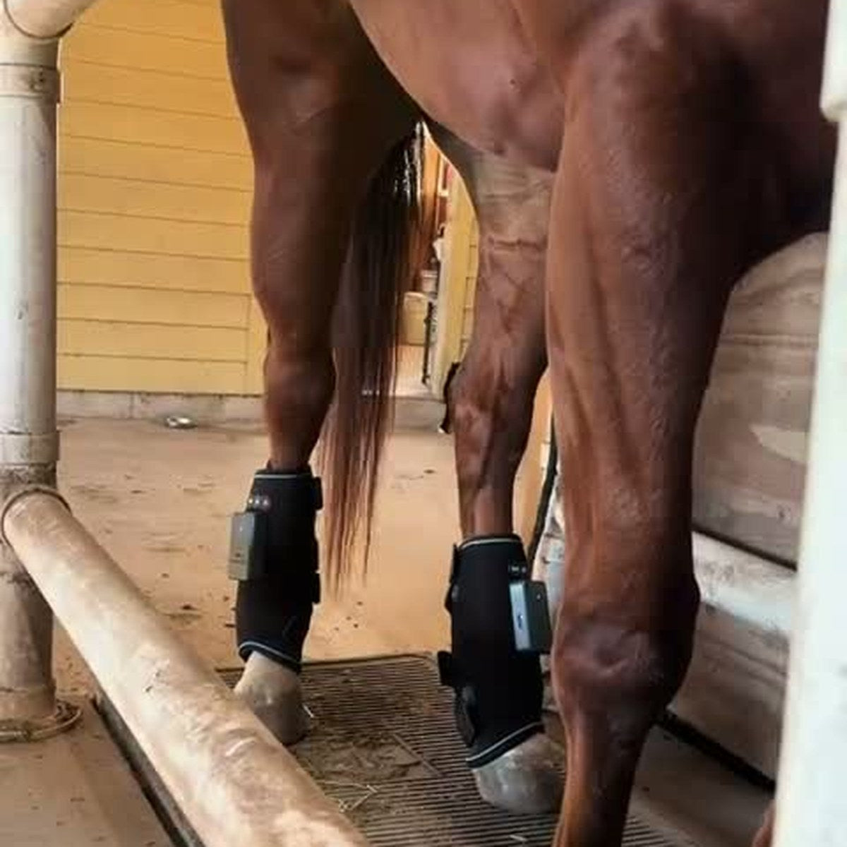 HorseLinkTech therapy boots - Deedee's horse
