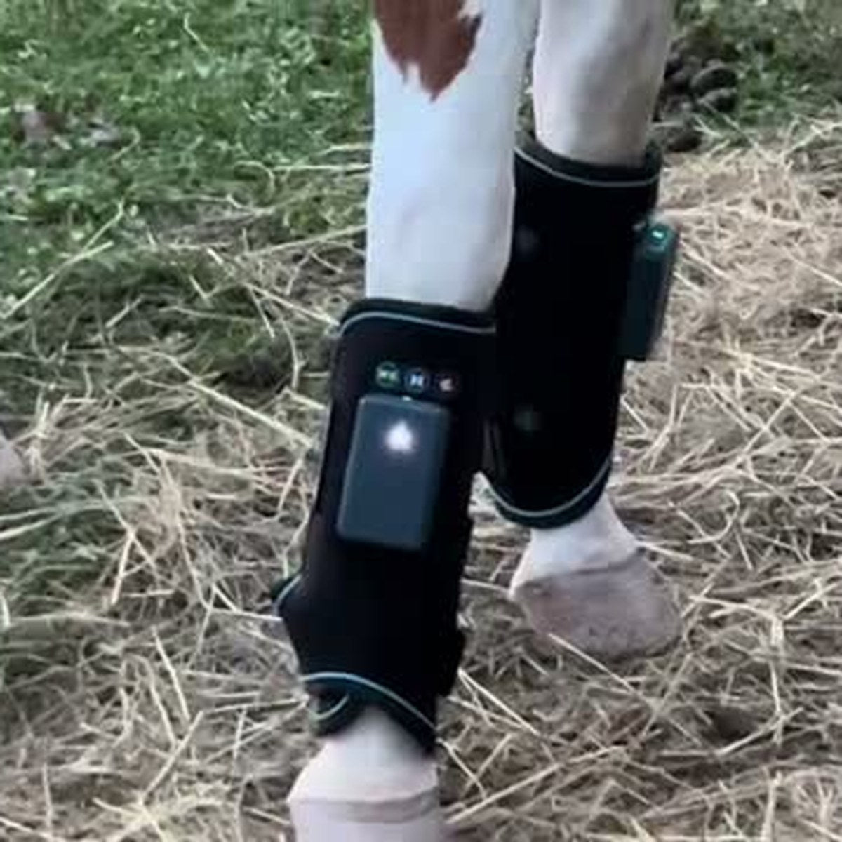 HorseLinkTech therapy boots - Jenn's horse