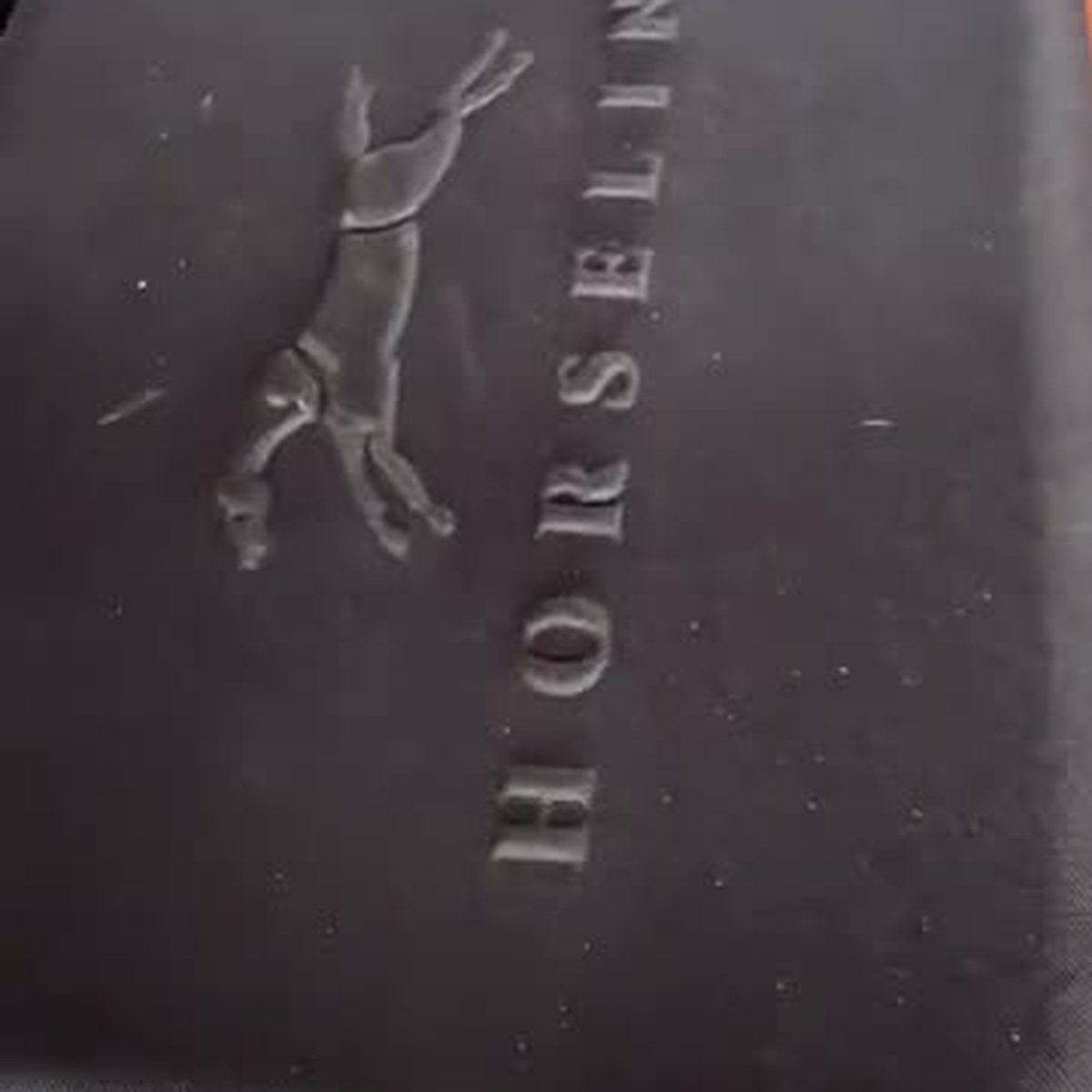 HorseLinkTech therapy boots - Victory Lane Farm's horse