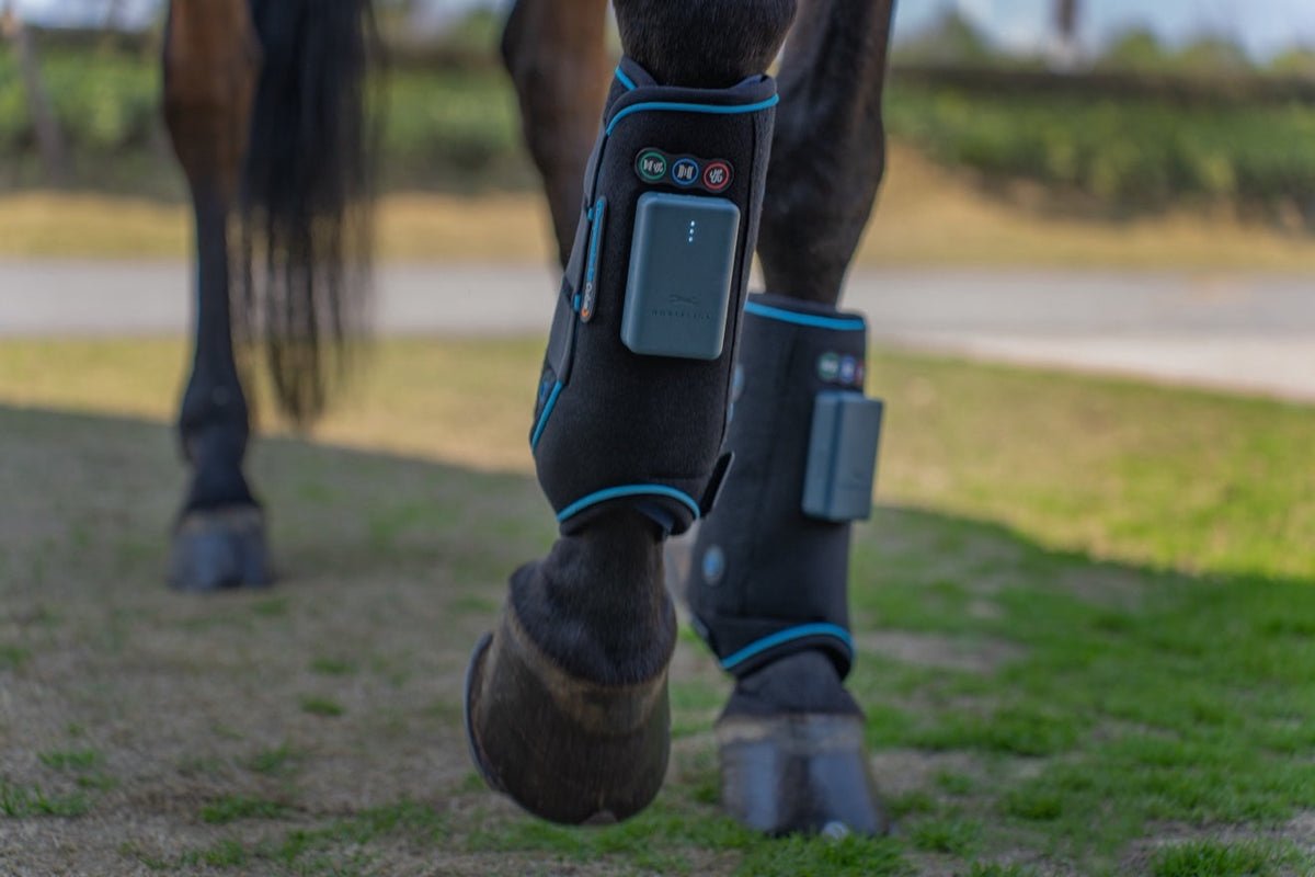 HorseLinkTech compression therapy boots for horses, black boot pair
